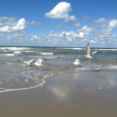 Luxury Tent With Kitchen And Shower, In A By The Sea And Luxury tent 's-Gravenzande
