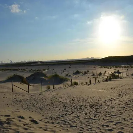 Luxury Tent With Kitchen And Shower, In A By The Sea And Luxury tent 's-Gravenzande